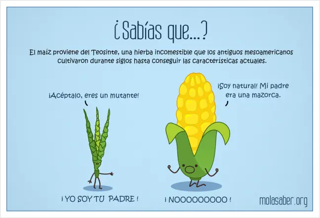 curiosidades