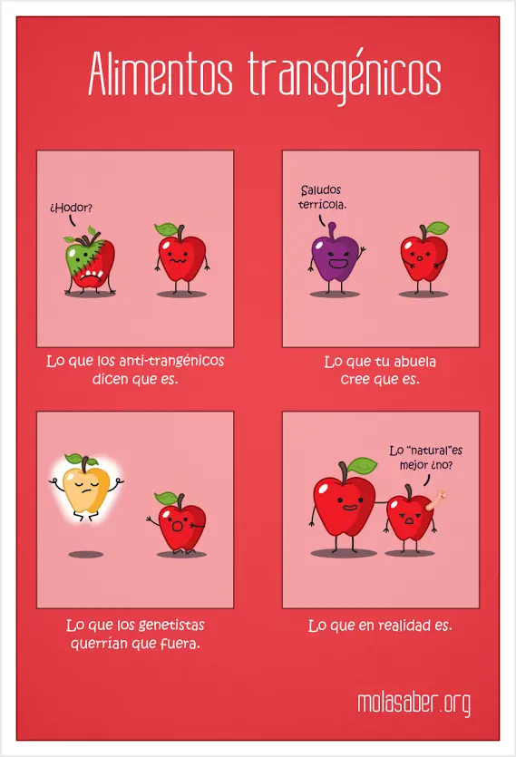 curiosidades