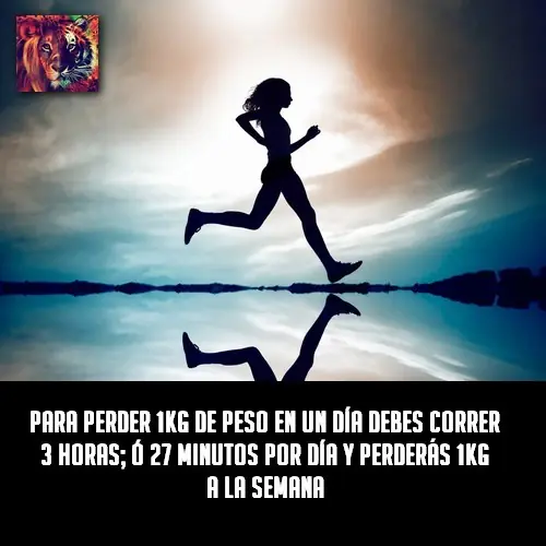 datos curiosos