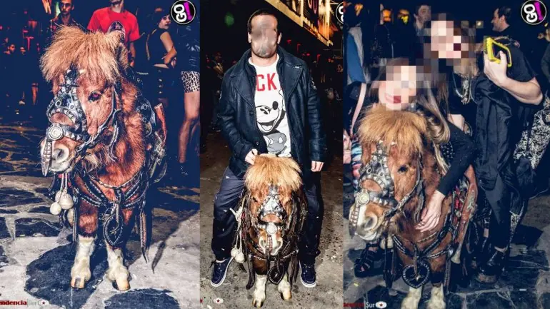 clausuraron un boliche por usar un pony