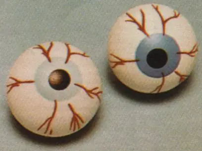 ¿Cuánto tiempo máximo aguanta una persona sin dormir?