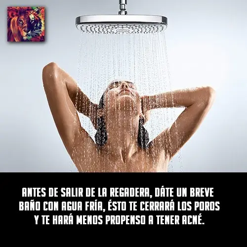 Aprendé en 10 mins con este post
