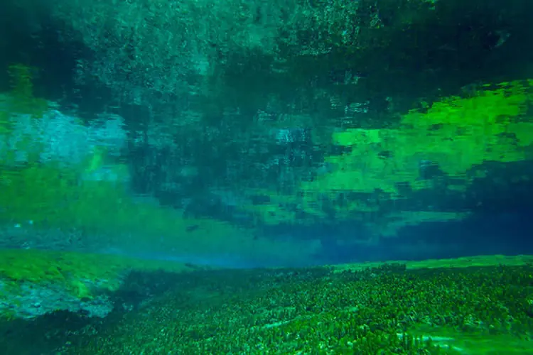 agua agua