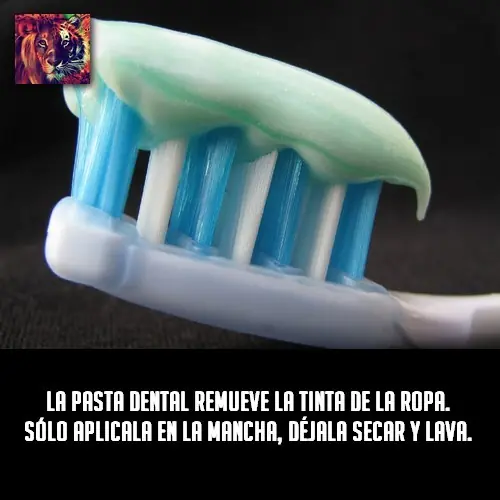 denunciado