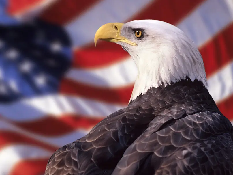 5 cosas que amo de America