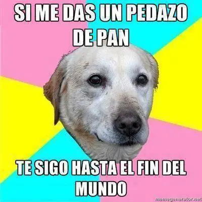 Broma Pesada