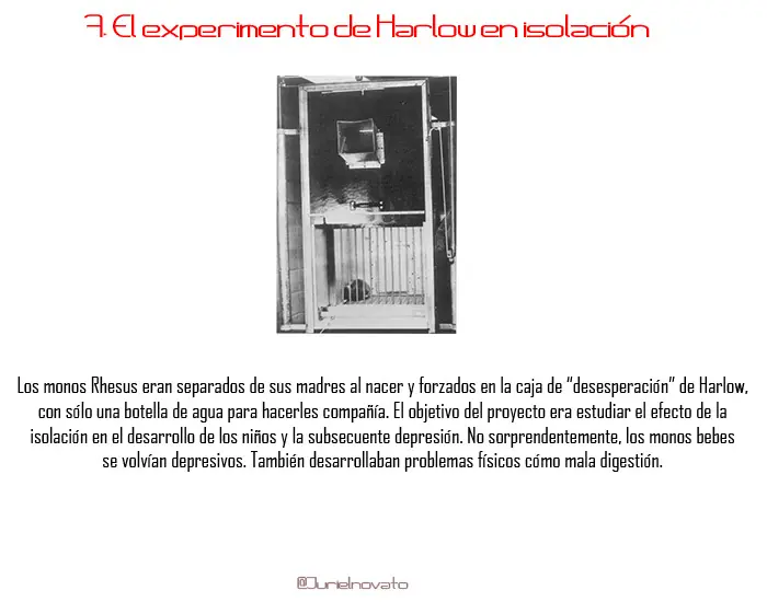 8 Experimentos Terroríficos [Real]