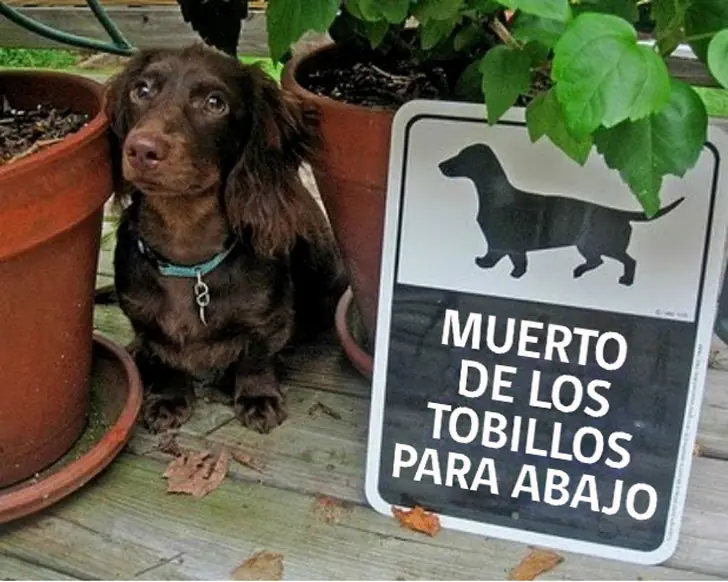 peligrosos
