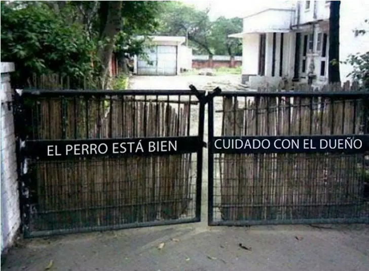 cuidado con el perro