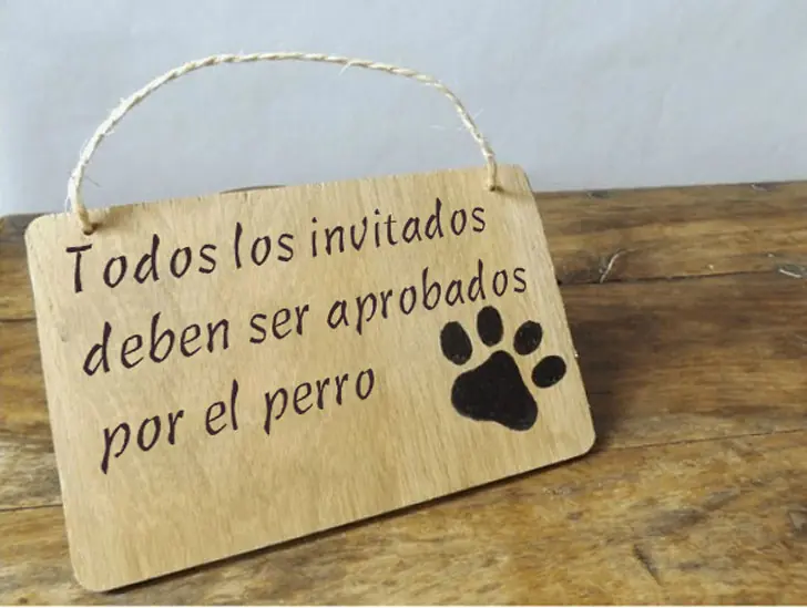 Carteles Graciosos