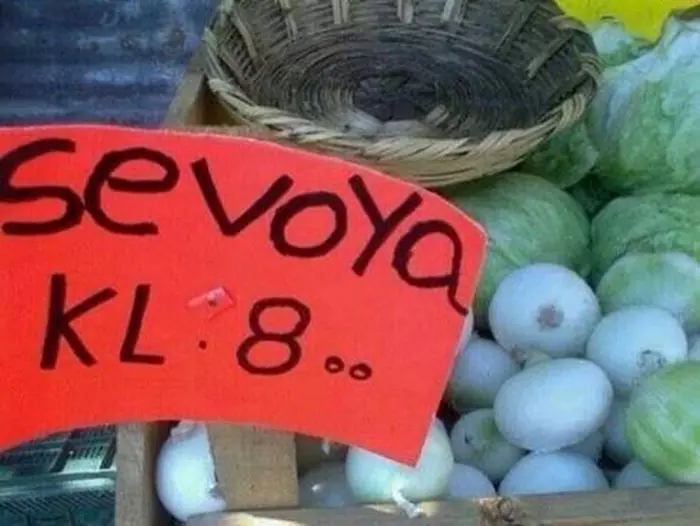 ortograficos