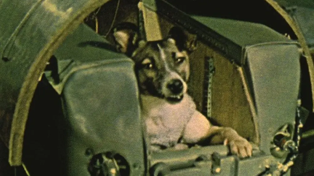 Laika