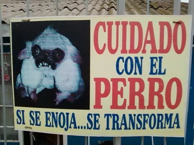 Carteles Graciosos