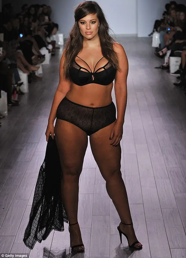 modelos