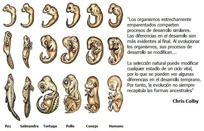 descubrimientos cientificos descubrimientos cientificos
