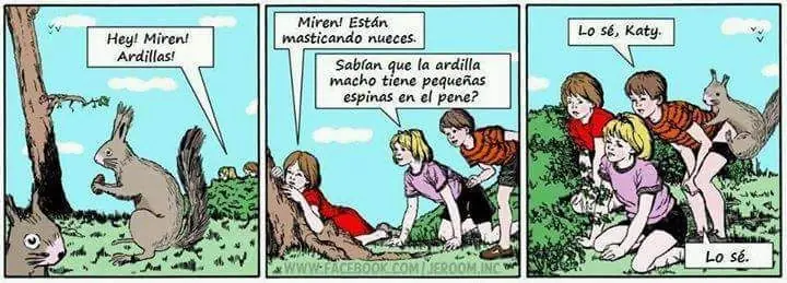 ronrisa