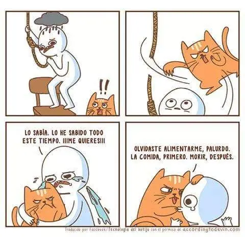 gracioso