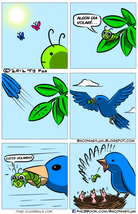 gracioso