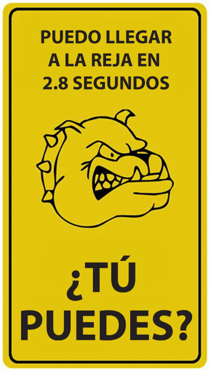 perros