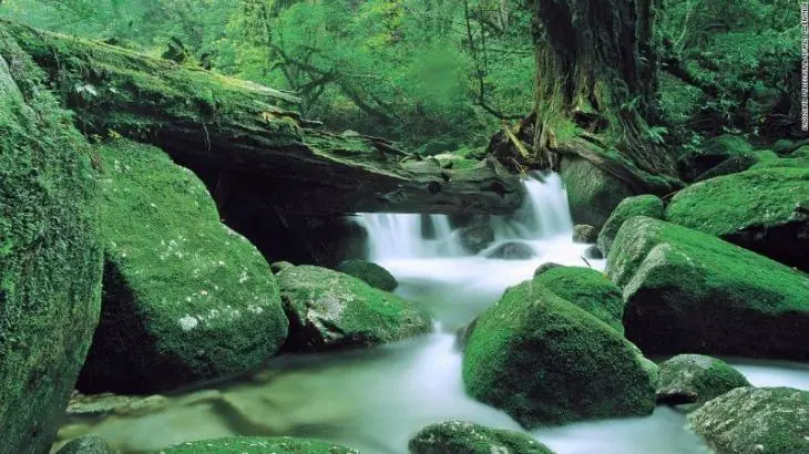 lugares increibles en japon