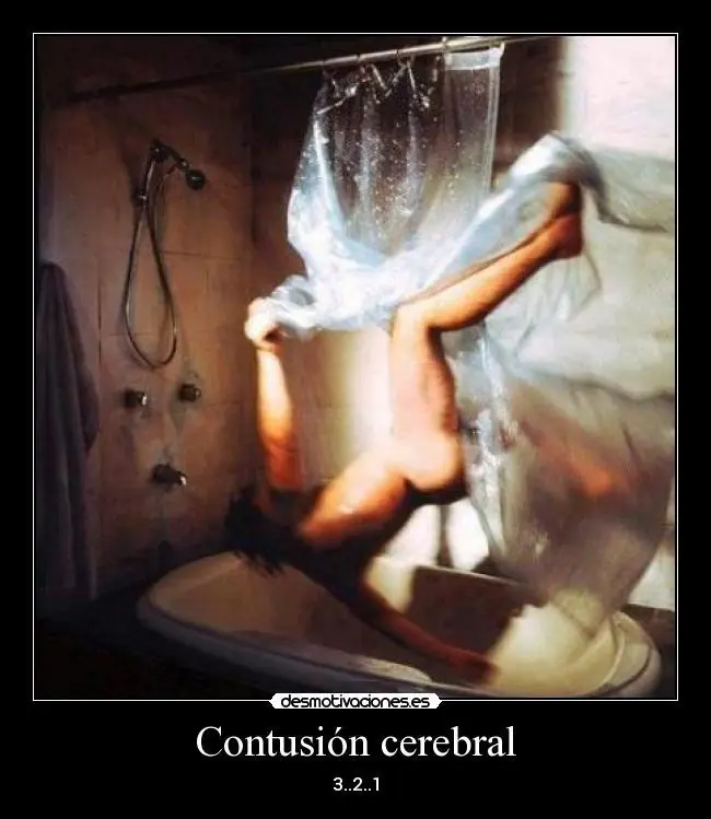 Me fui de Gatos a Rosario y te lo cuento.