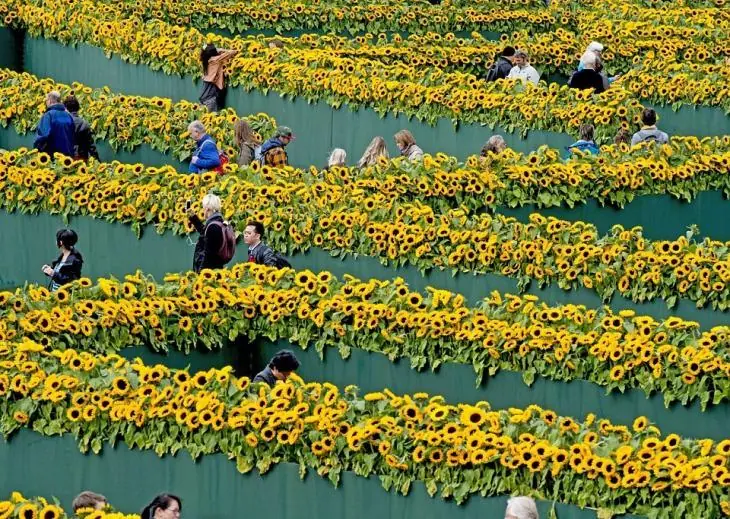 Los 10 Laberintos Más Increíbles Del Mundo