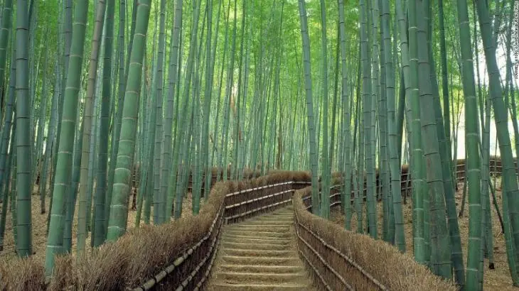 japon