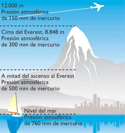 ciencia