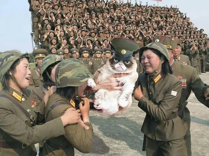 humor