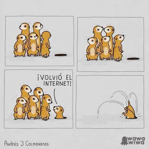 dormir
