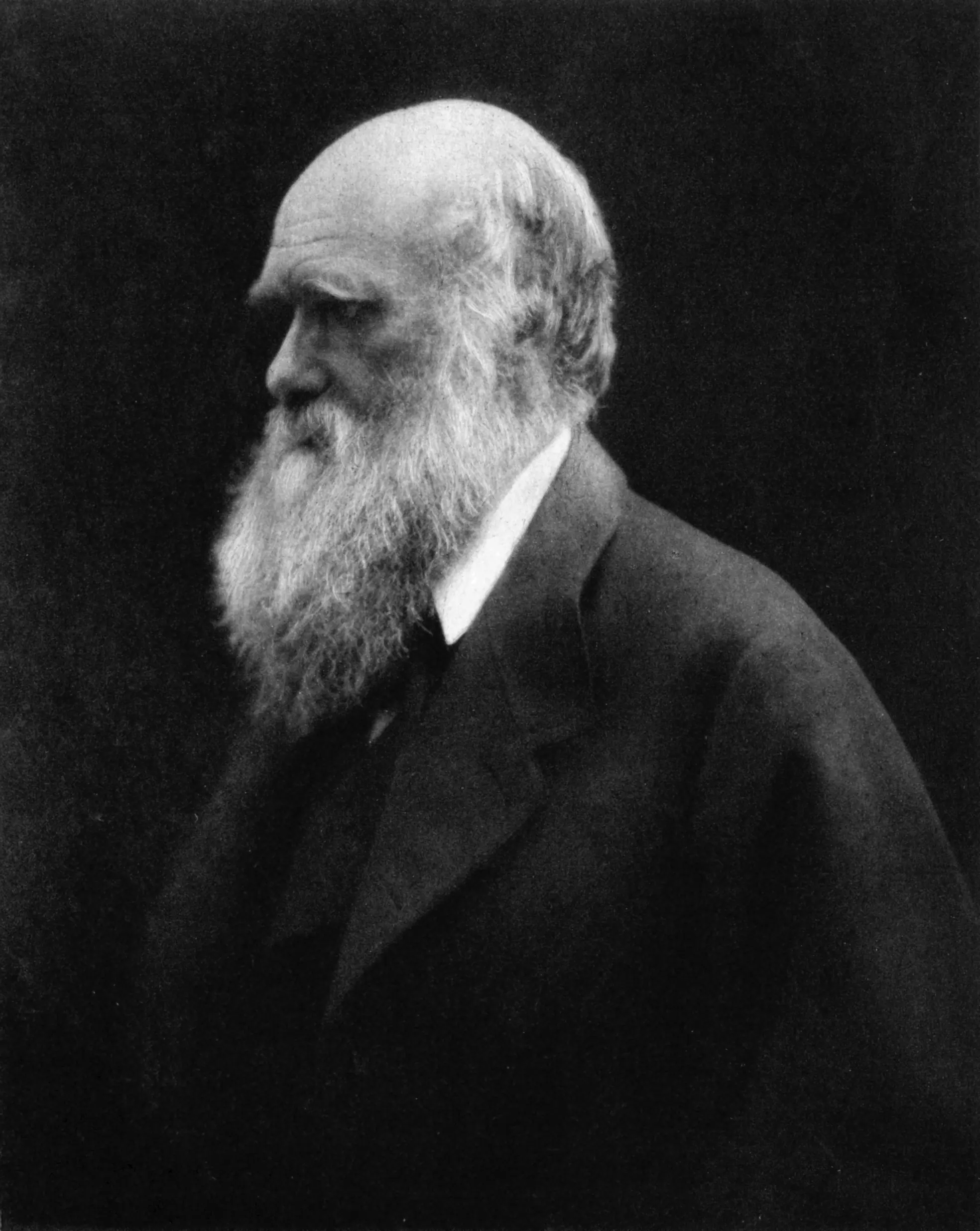 legrand
