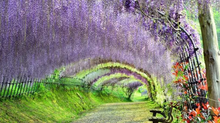 lugares increibles en japon