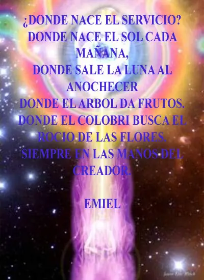 Frases e Inspiraciones para la Toma de Consciencia