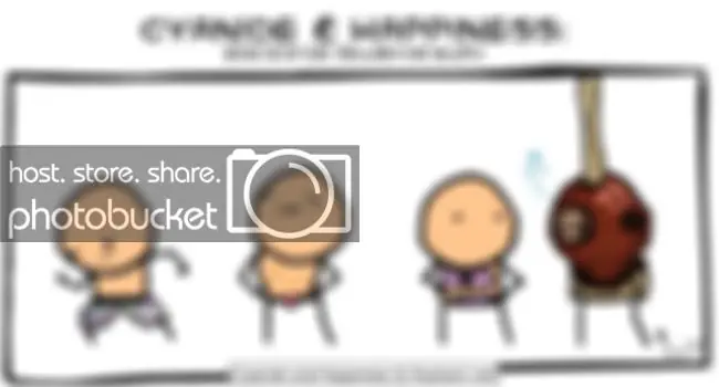 wp-content