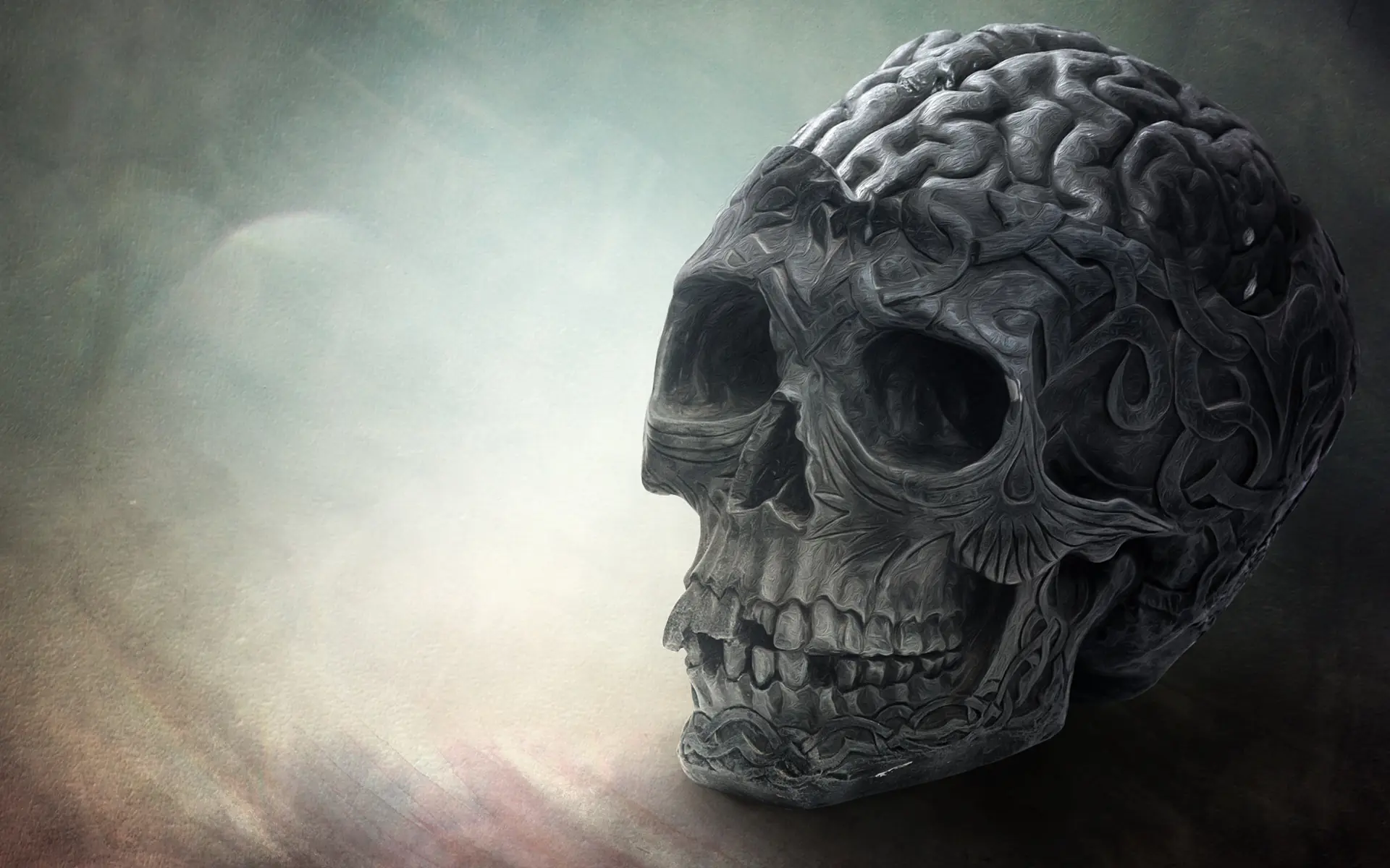 cerebro