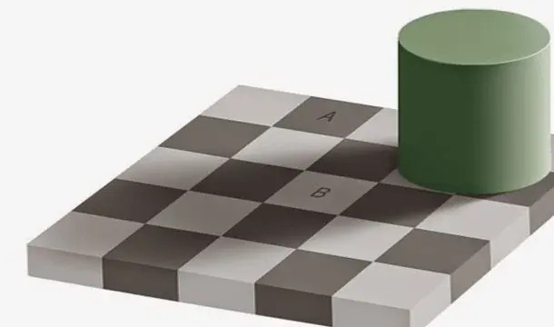 19 cosas que no sabías del cerebro