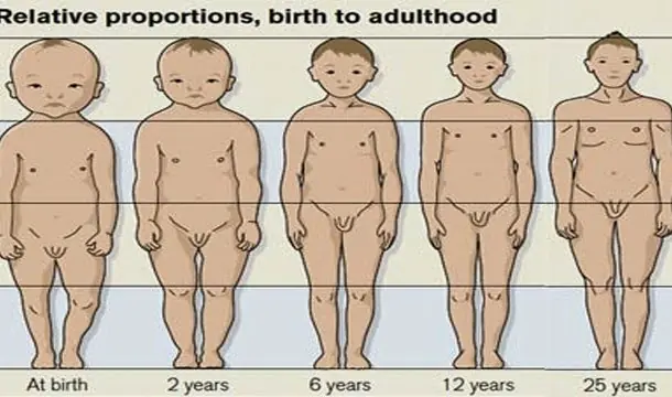 datos