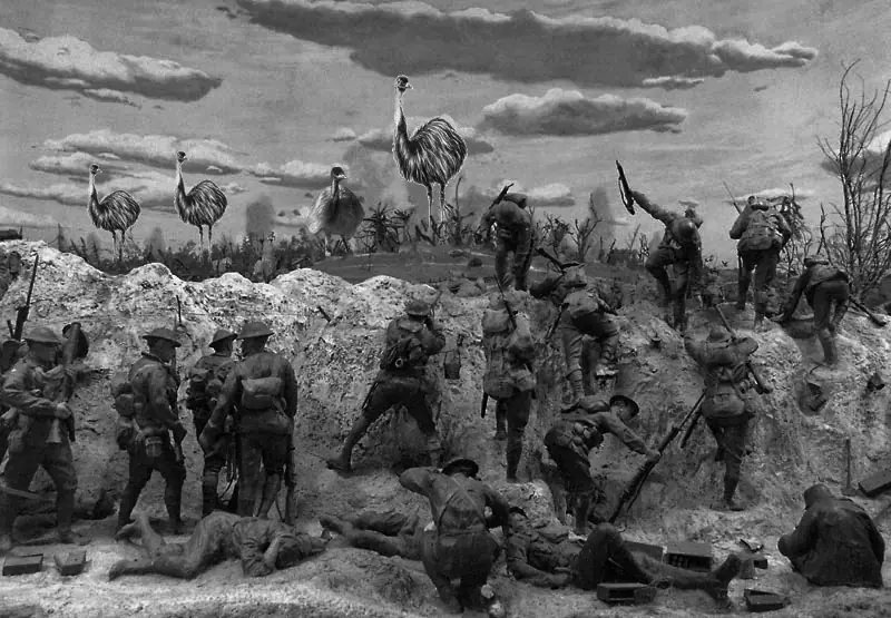 emu war australia emu war australia