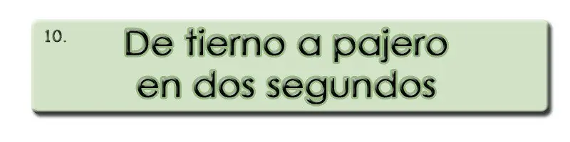 propio propio