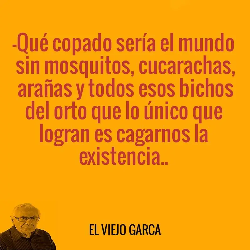 Mega Posts El Viejo Garca