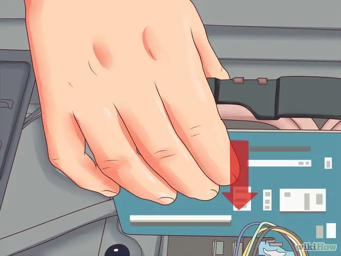 los componentes de tu computadora