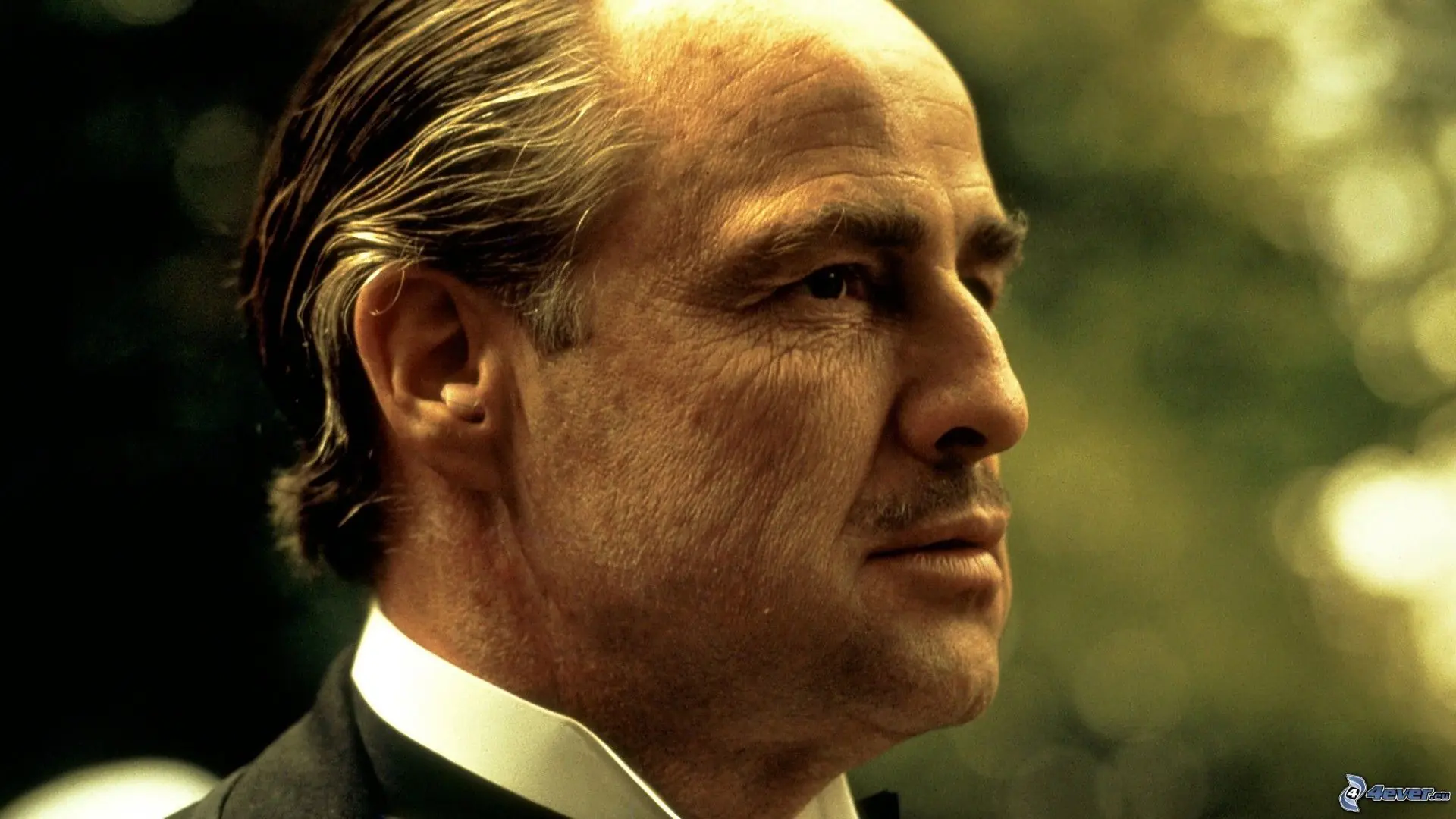 el padrino el padrino