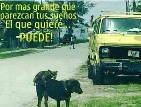 sabado