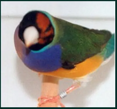 naturaleza
