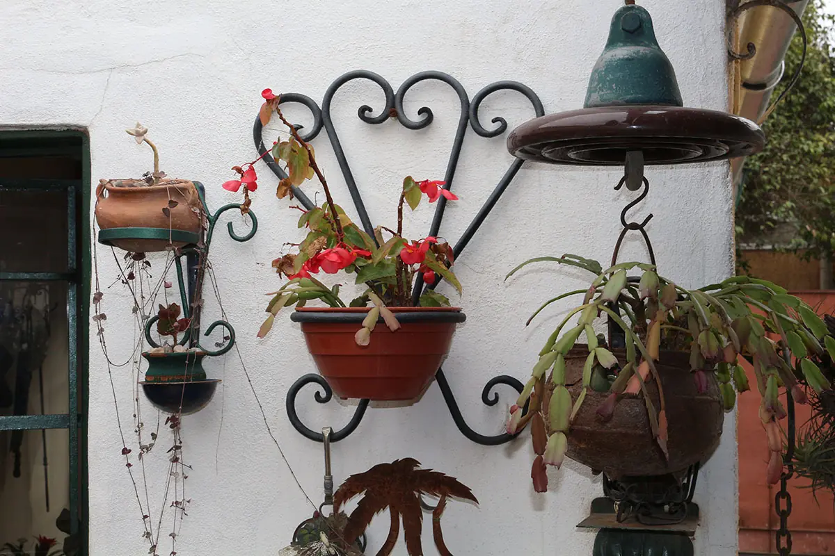 jardin colgante
