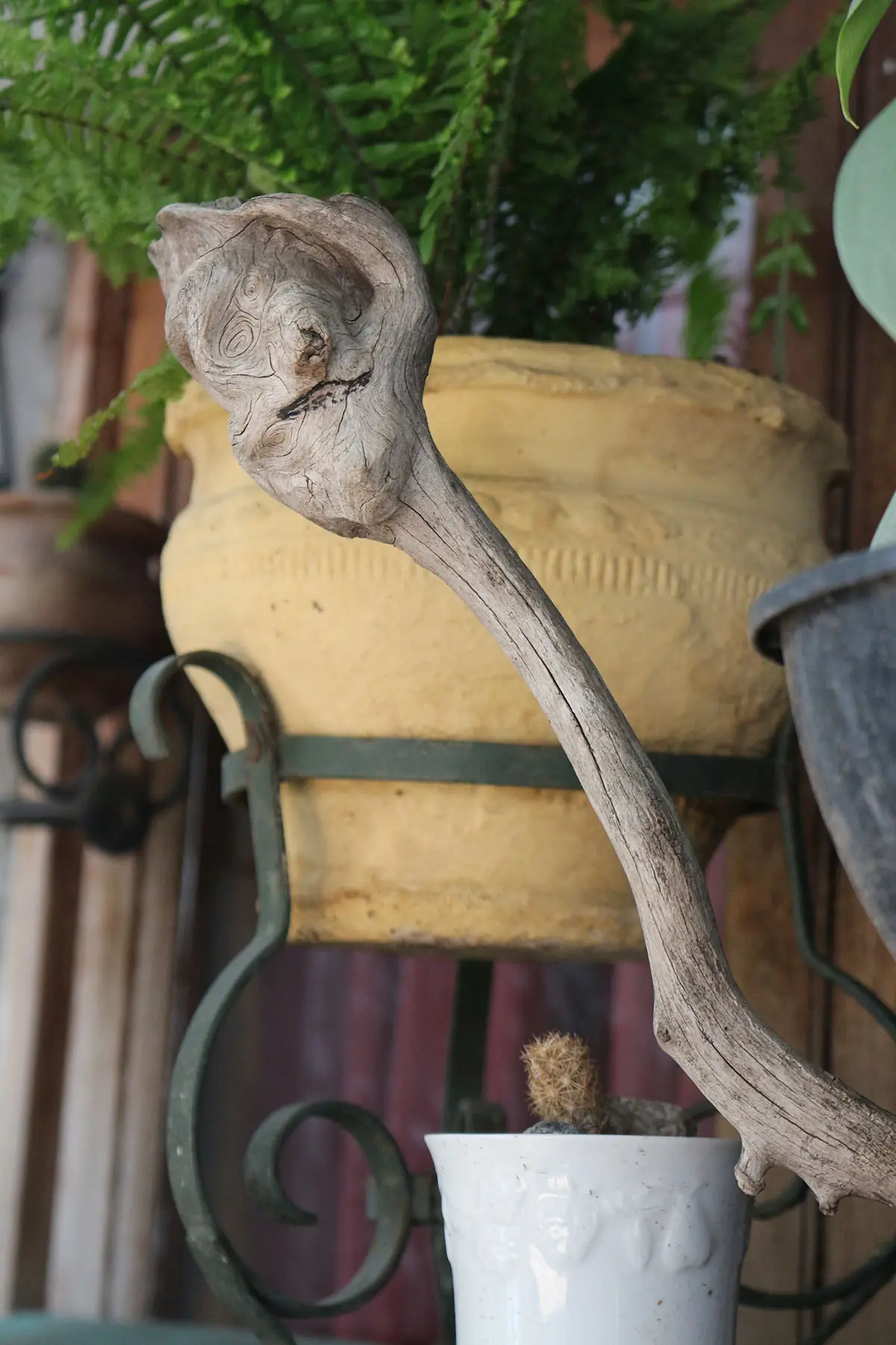 Bienvenidos al Jardín Artesanal de mi Tío [Fotos propias]