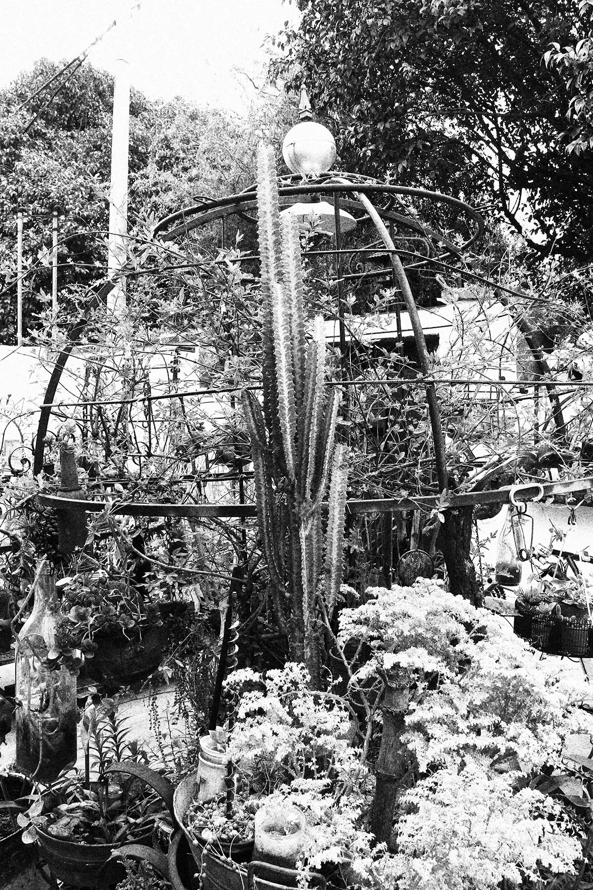 jardin colgante