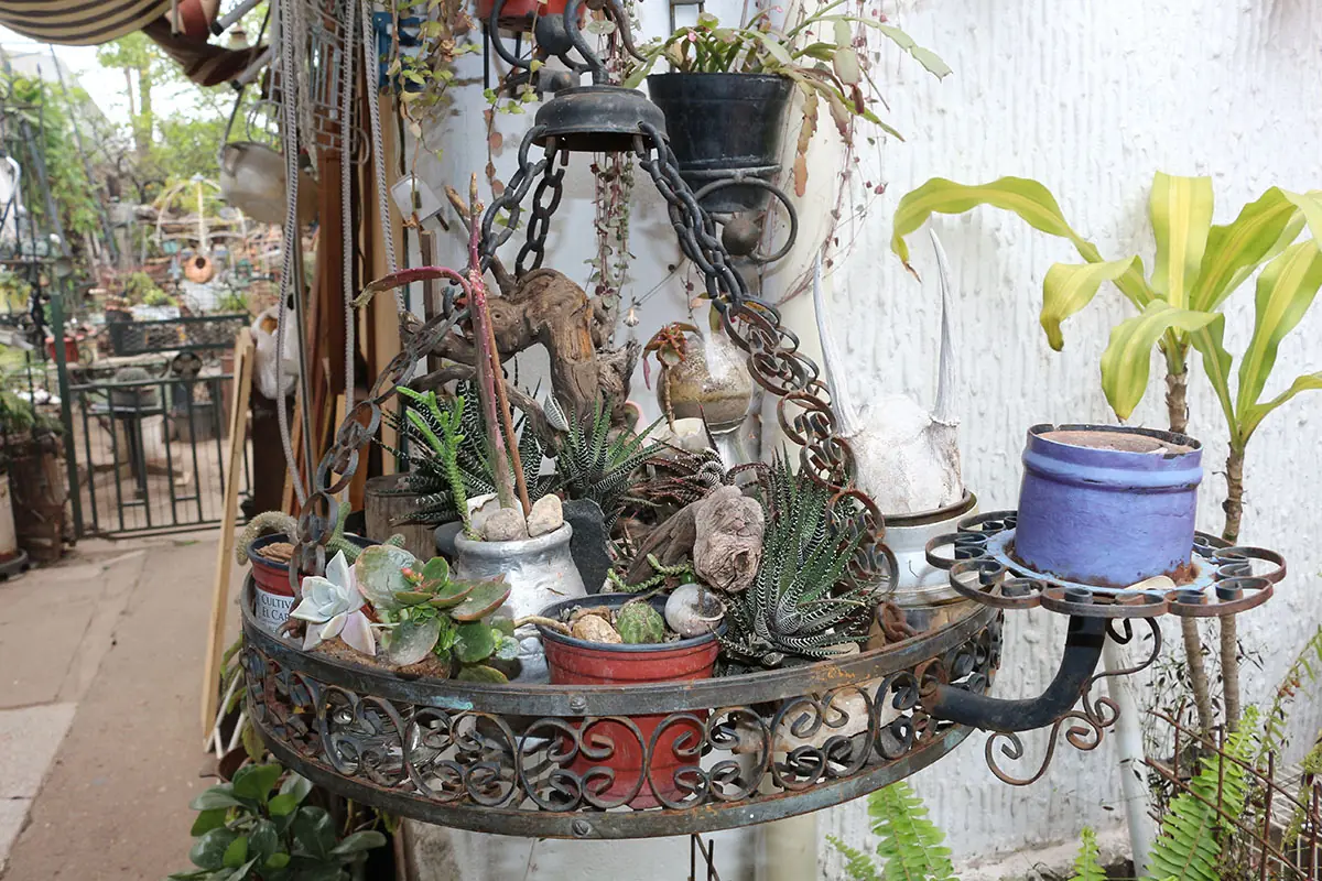 Jardin