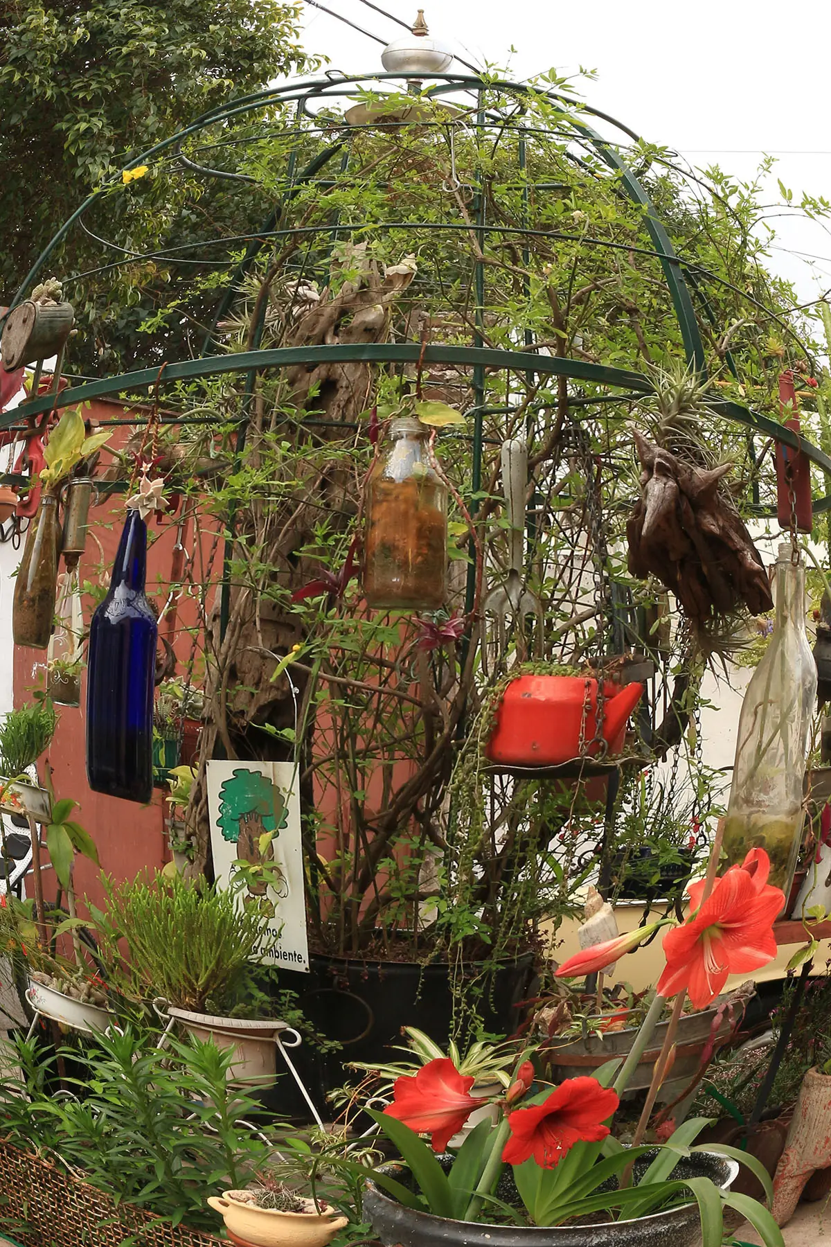 Jardin
