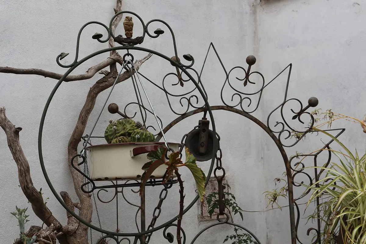 Jardin